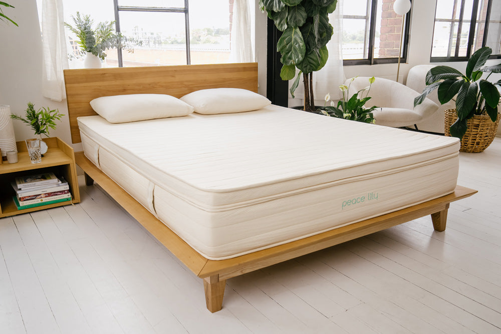Mattress Topper Natural Premium Comfort Peace Lily NZ