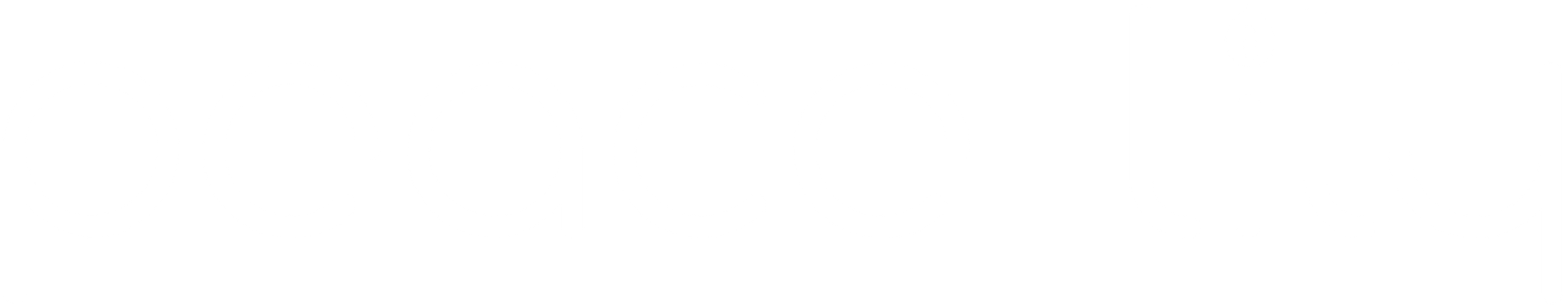 Peace Lily New Zealand