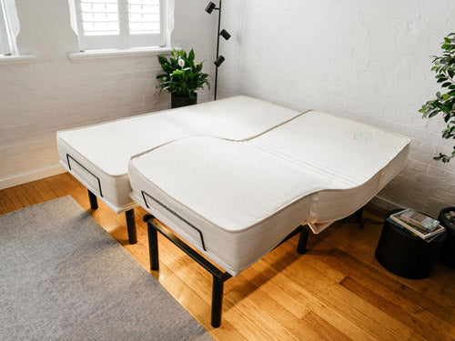 Peace Lily Latex Mattress