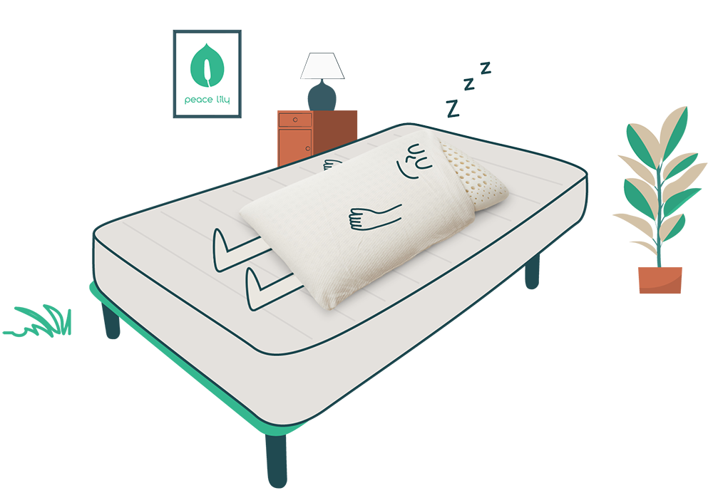 Sleep now illustration with Peace Lily