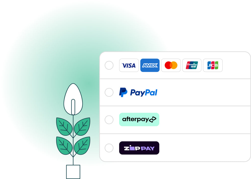 finance options in checkout