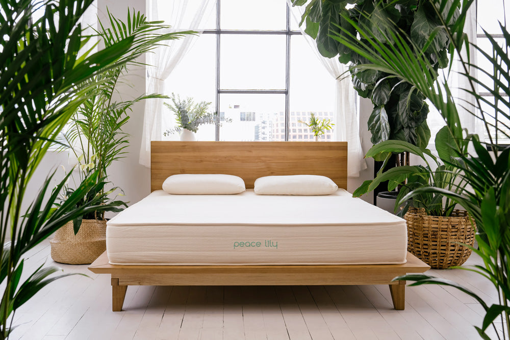 natural latex mattress