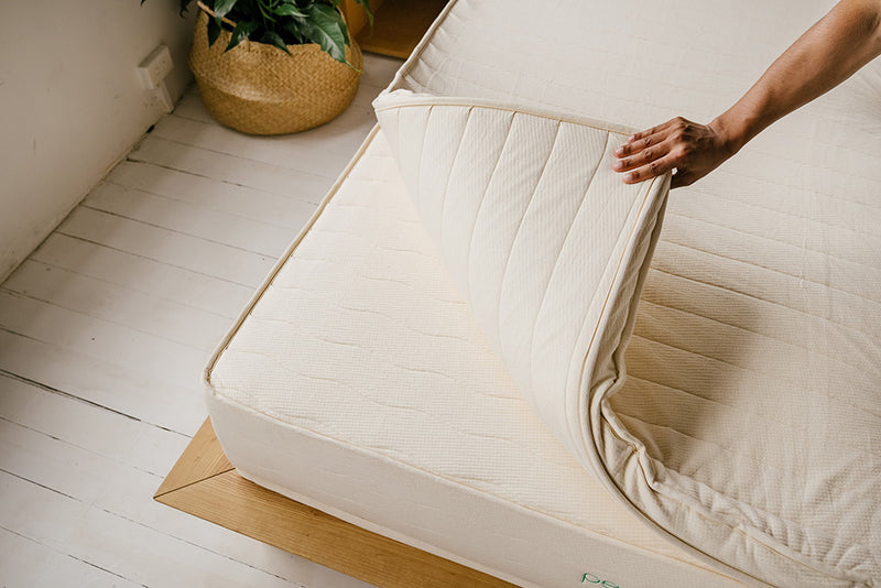 Mattress Topper Natural Premium Comfort Peace Lily NZ